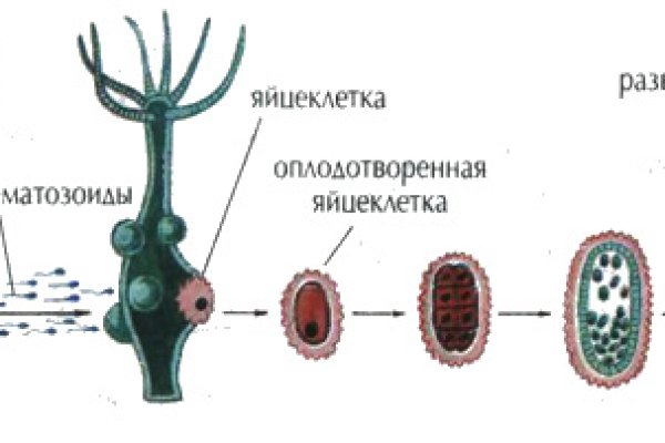 Купить бошки конопли