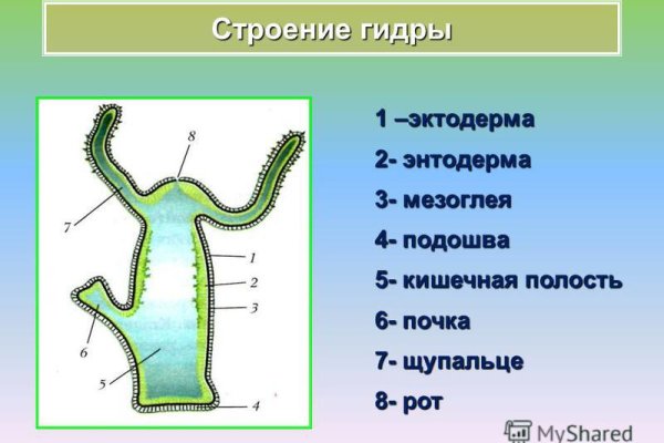 Магазин шишки гашиш купить